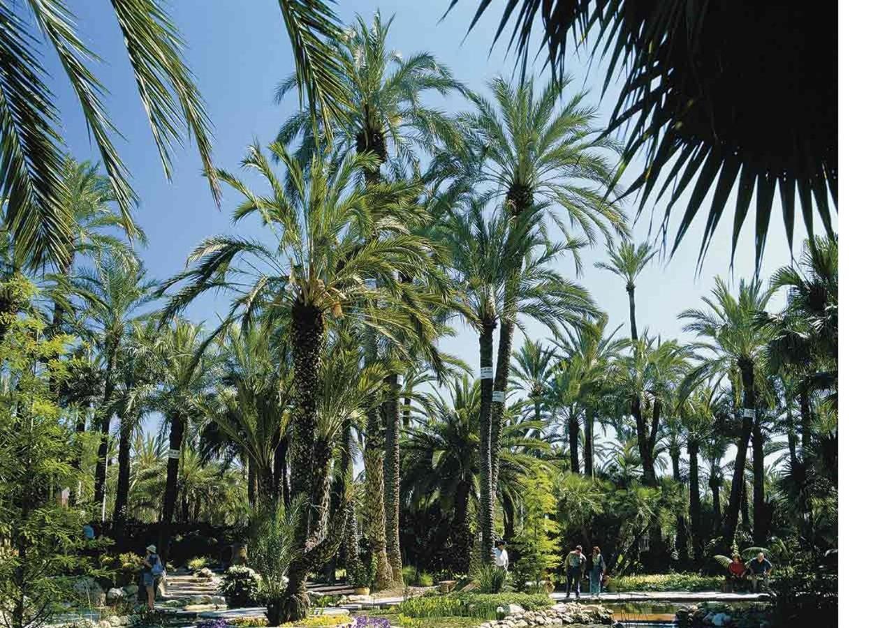 Luxury New Loft City Centre & Castle, Alicante Exterior foto
